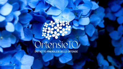 Ortensieto