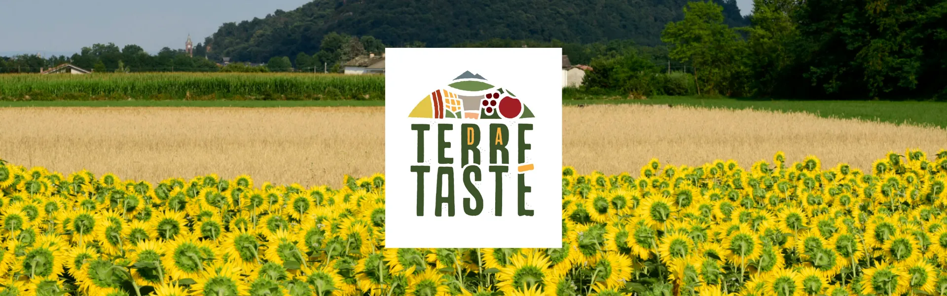 Logo di Terre da tastè su sfondo di campo di girasoli